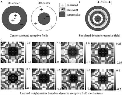 DRFnet: Dynamic receptive field network for object detection and image recognition